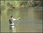Fishing