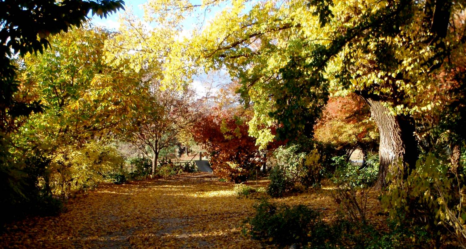 View of one of our gardens